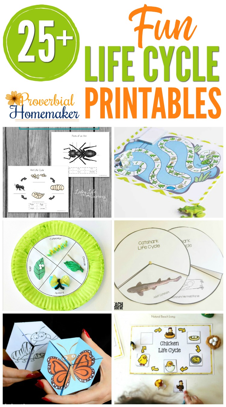 Fun and Free Printable Board Games - Itsy Bitsy Fun