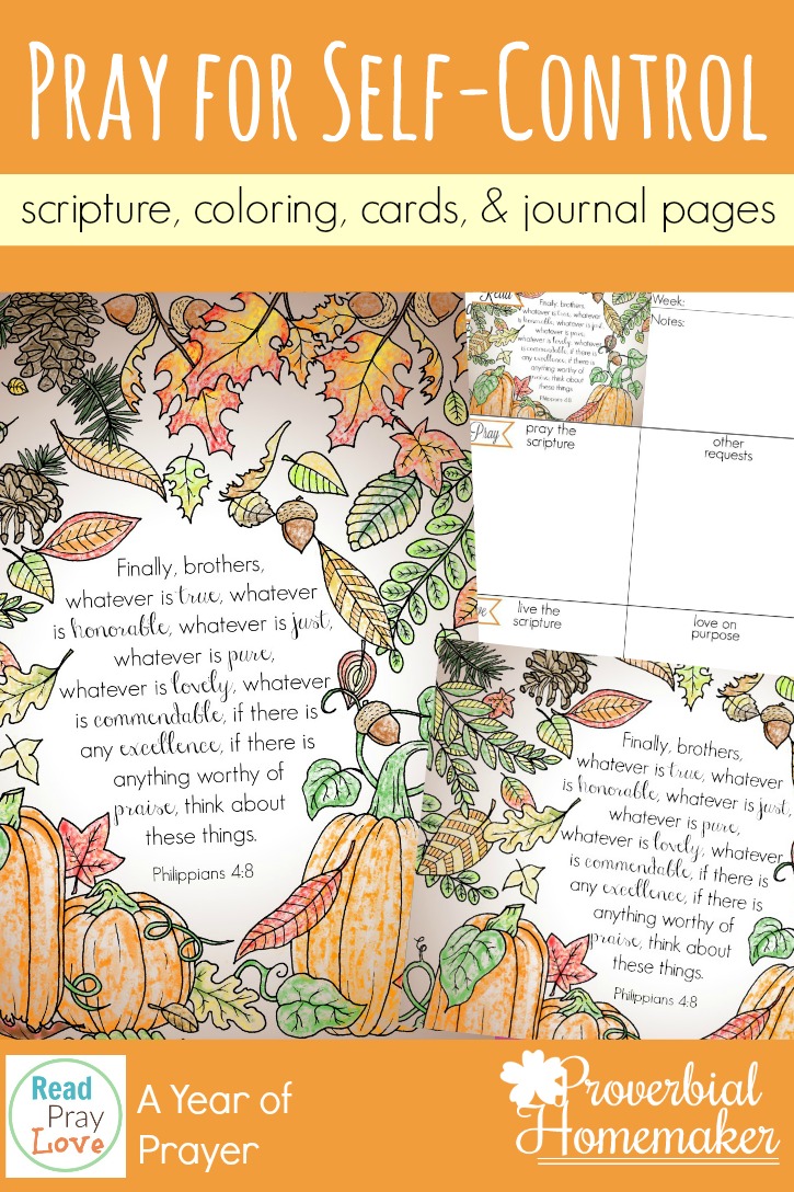 Begin praying for self-control in yourself, your spouse, and your kids! Beautiful scripture art prints, cards, & journal pages help you pray diligently!