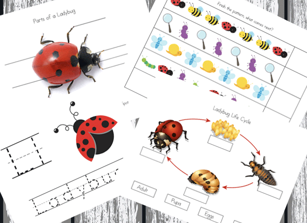 The Grouchy Lady Bug Unit Study with Printables - part of the Children's Literature Unit Study series on ProverbialHomemaker.com