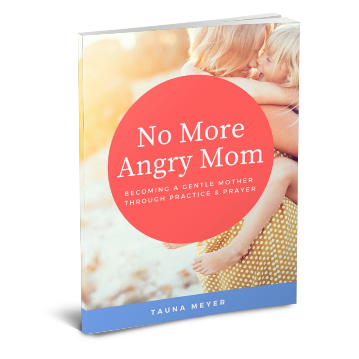 No More Angry Mom ebook - learning to become a gentle and joyful mom through practice and prayer
