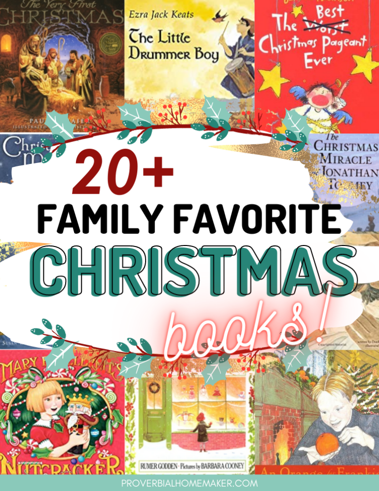 Family Christmas Book 