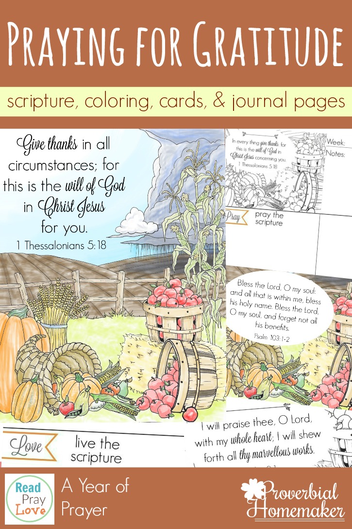 Begin praying for an attitude of gratitude in yourself, your spouse, and your kids! Beautiful scripture art prints, cards, & journal pages help you pray diligently!