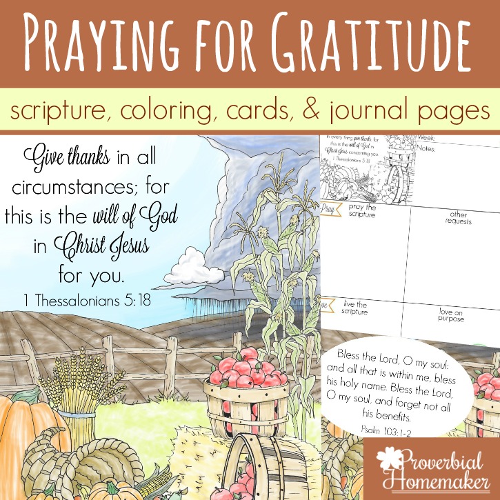 Begin praying for an attitude of gratitude in yourself, your spouse, and your kids! Beautiful scripture art prints, cards, & journal pages help you diligently begin praying for gratitude!
