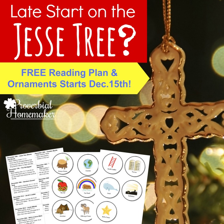 Did you get a late start on the Jesse Tree this year? Download this FREE reading plan with ornaments that starts on December 15th!