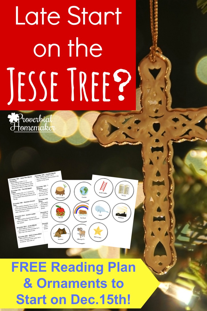 Did you get a late start on the Jesse Tree this year? Download this FREE reading plan with ornaments that starts on December 15th!