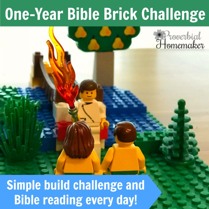 Start with January in the One-Year Bible Brick Challenge! It includes a simple reading plan and a daily Lego build project throughout the month.