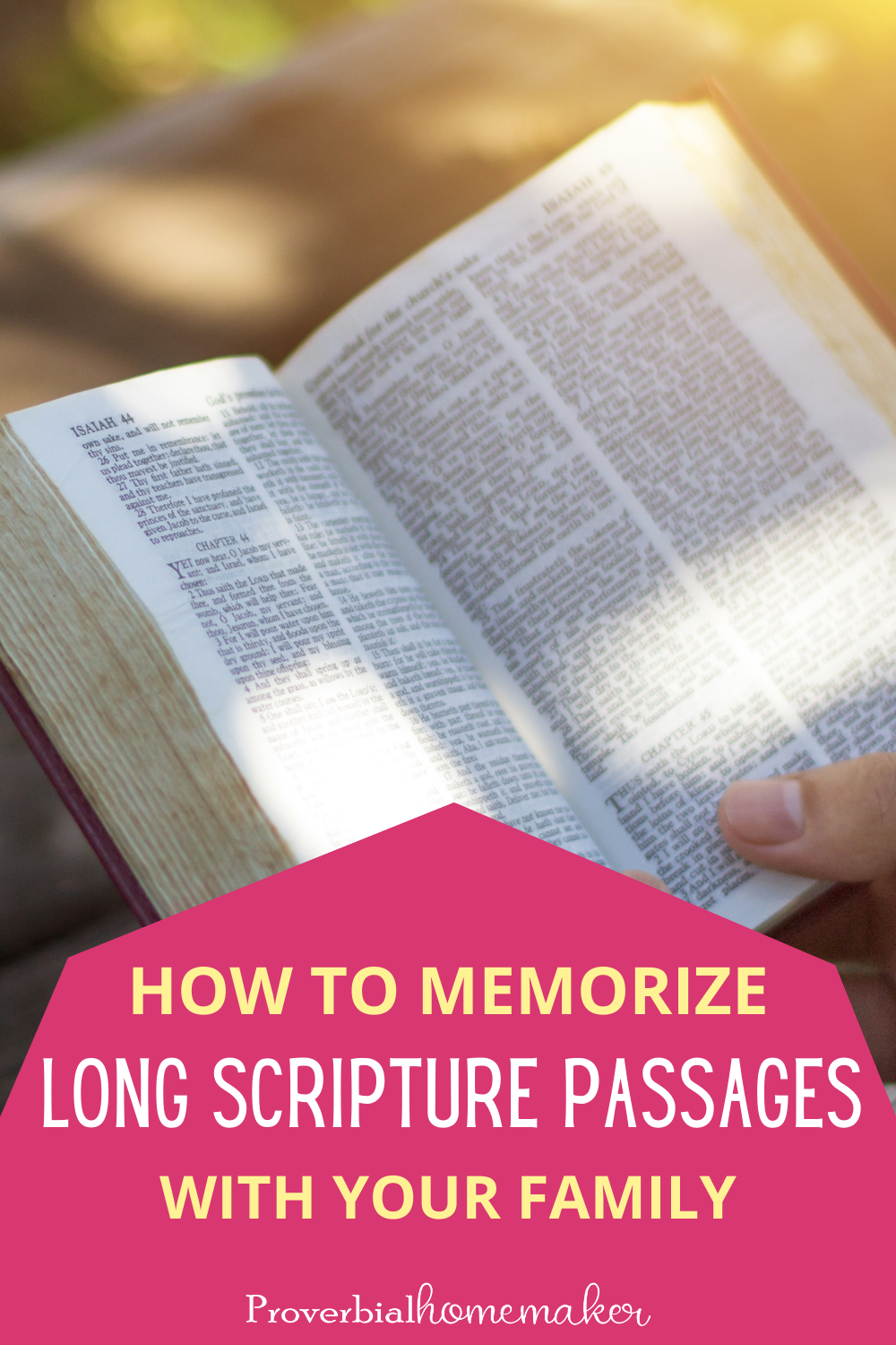 Want to memorize long Scripture passages with your kids? Find out some great tips and printable resources to help you make it successful. 