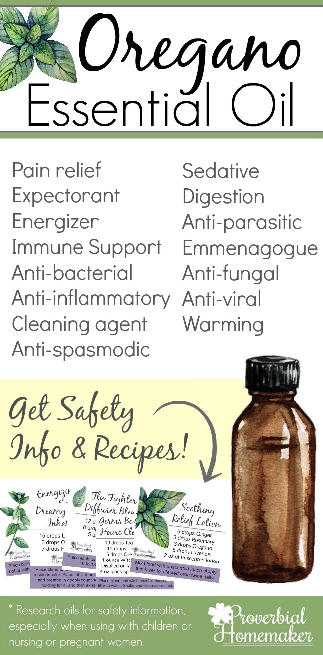 Best uses for Oregano essential oil including safety information, recipes, and more!