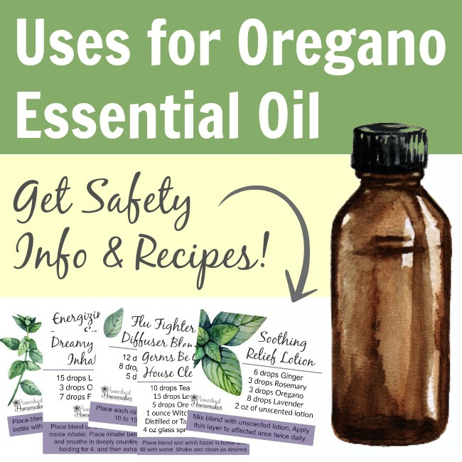 Best uses for Oregano essential oil including safety information, recipes, and more!