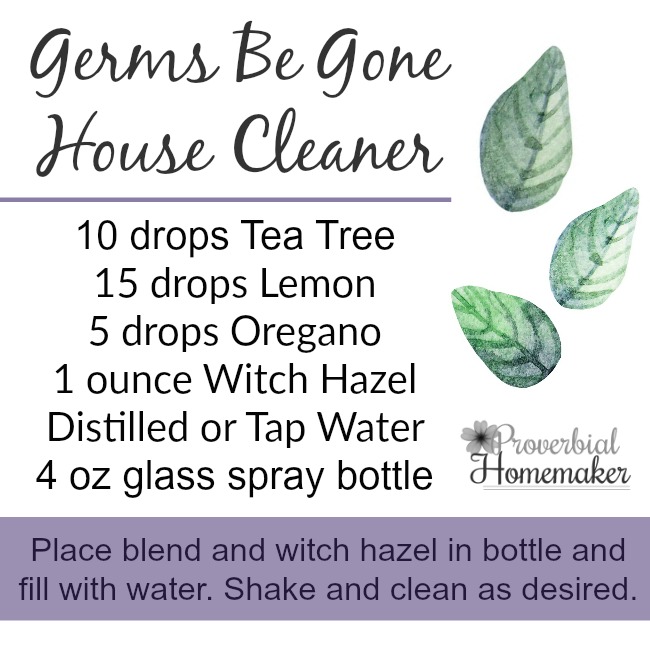 Germs Be Gone House Cleaner Spray Using Oregano Essential oil