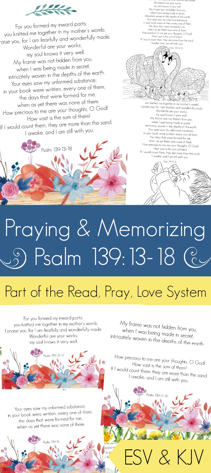 Pray and memorize psalm 139:13-18 (the fearfully and wonderfully made scriptures) with your family!åç