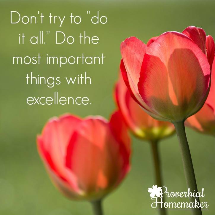 don't try to do it all do the most important things with excellence - Tauna Meyer