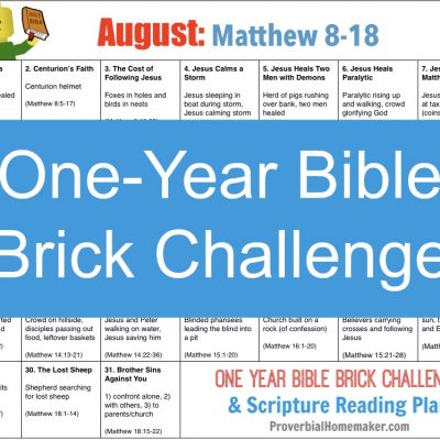 August One Year Bible Brick Challenge Calendar (Matthew 8 – 18)