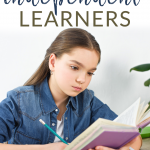 As a homeschool family one of the greatest things we can do is to encourage independent learning. Here are some tips on creating independent learners.