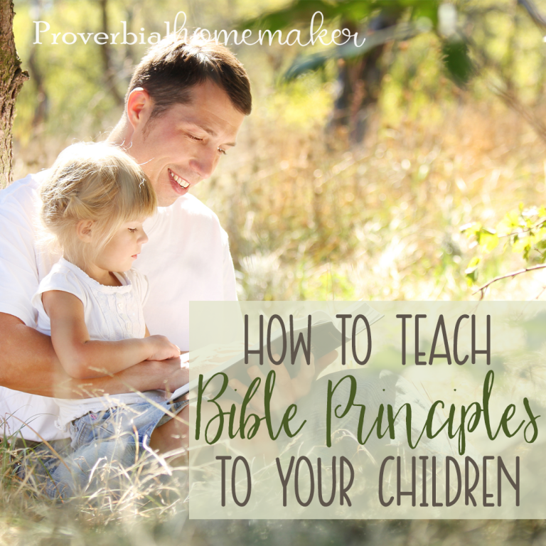 If you are struggling on ways to teach Bible principles to your children, these tips and ideas will help!