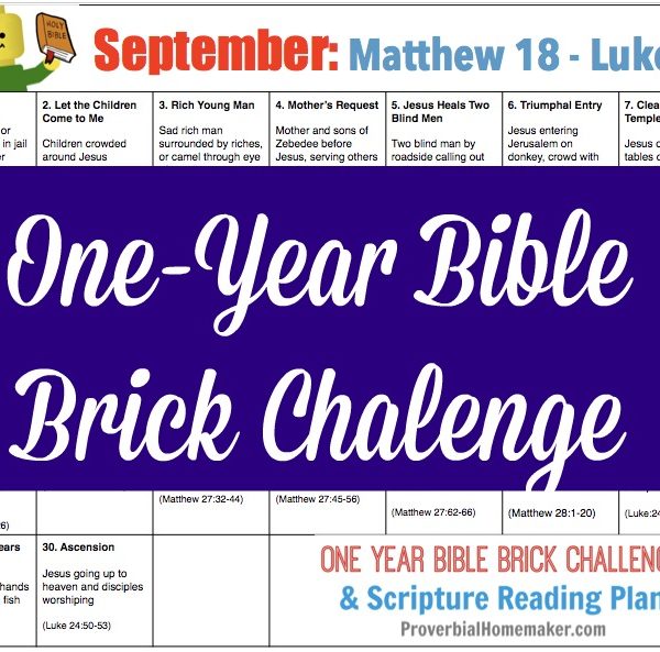 september bible brick challenge Teach your kids the Bible while they build with Legos! The September calendar for the One-Year Bible Brick Challenge goes from the middle of Matthew through Luke. Enjoy!