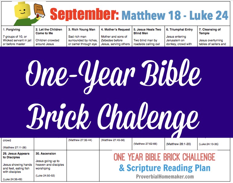 Teach your kids the Bible while they build with Legos! The September calendar for the One-Year Bible Brick Challenge goes from the middle of Matthew through Luke. Enjoy!