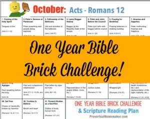 Teach your kids the Bible while they build with Legos! The October calendar for the One-Year Bible Brick Challenge goes from Acts to Romans 12. Enjoy!