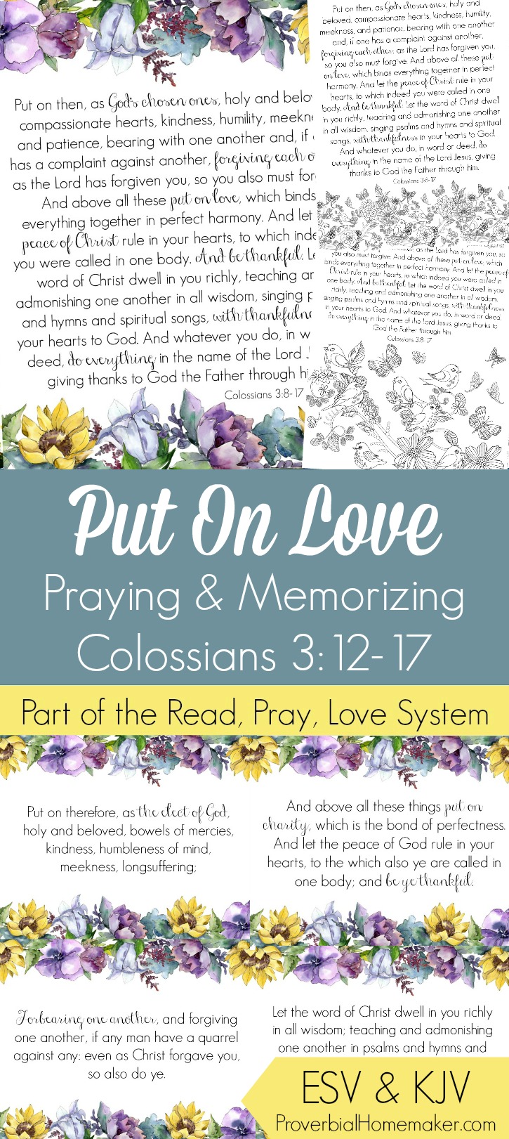 Pray and begin memorizing Colossians 3:12-17 together as a family, all about putting on the love of Christ in all we do! These beautiful scripture art prints, memory verse cards, coloring pages, and prayer prompts are a wonderful way to get started. Part of the Proverbial Homemaker Read, Pray, Love system.