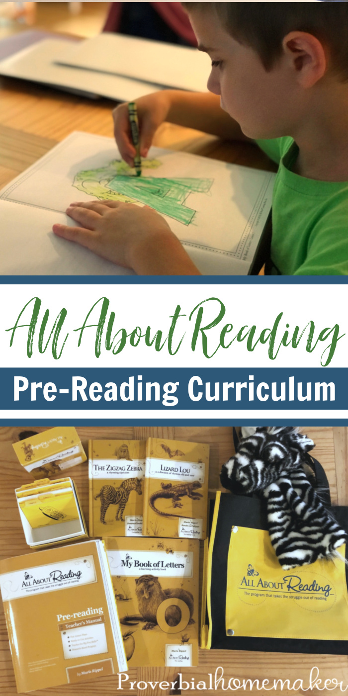 Curious about the All About Reading Pre-Reading curriculum? Find out how this mama of many used it with two kids at the same time.