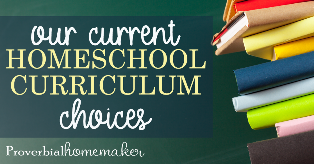 Check out what we're using for homeschool curriculum in 2019-20! I'll be homeschooling a Kindergartener, 1st grader, 2nd grader, 4th grader, and 6th grader. If you're a large family homeschooling mom doing multi-level homeschooling, or you just want some great ideas for pre-K through 6th, you'll love this list of curriculum choices!