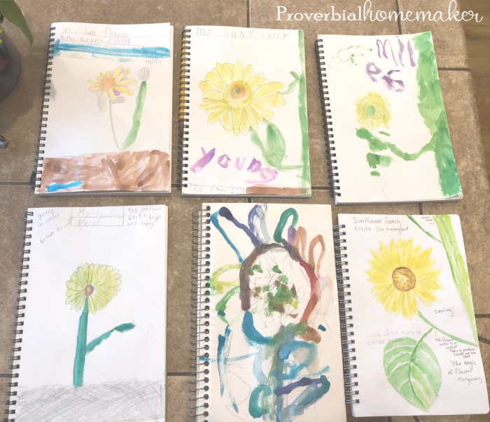Try this fun and easy sunflower nature study in your homeschool! Plus some tips for simple nature study and nature journaling.