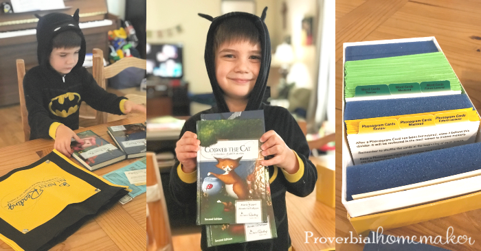 How we teach kids to read in our homeschool from a busy homeschool mom of 6! Includes homeschool reading curriculum recommendations and more.