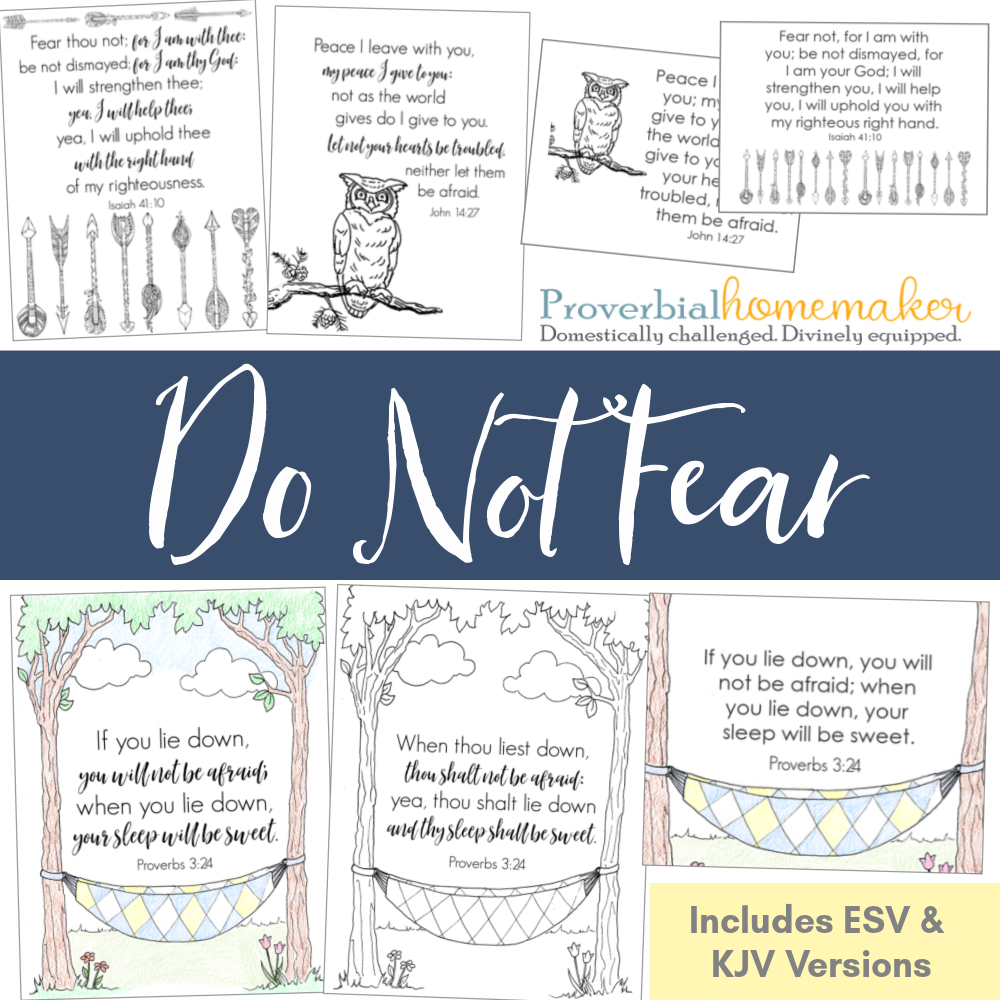 scripture be not dismayed