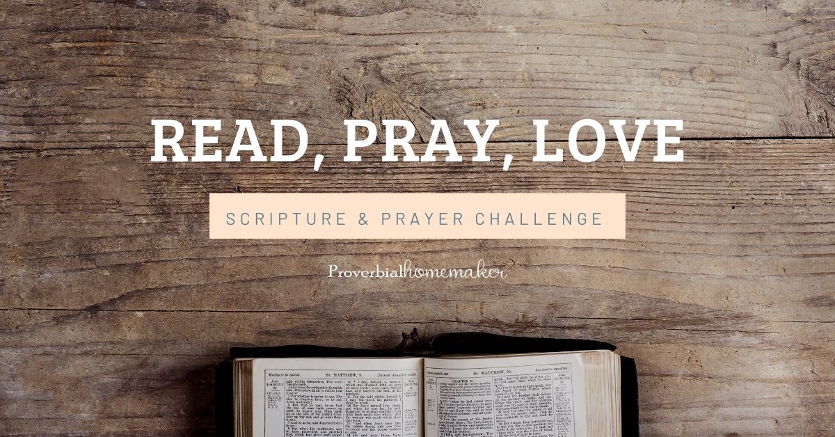 Be more intentional in prayer this year with the Read, Pray, Love Scripture & prayer challenge from Proverbial Homemaker!