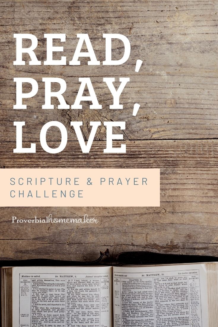 Be more intentional in prayer this year with the Read, Pray, Love Scripture & prayer challenge from Proverbial Homemaker!