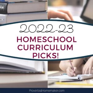 Top homeschool curriculum choices for 6 kids grades Kindergarten through 9th grade!