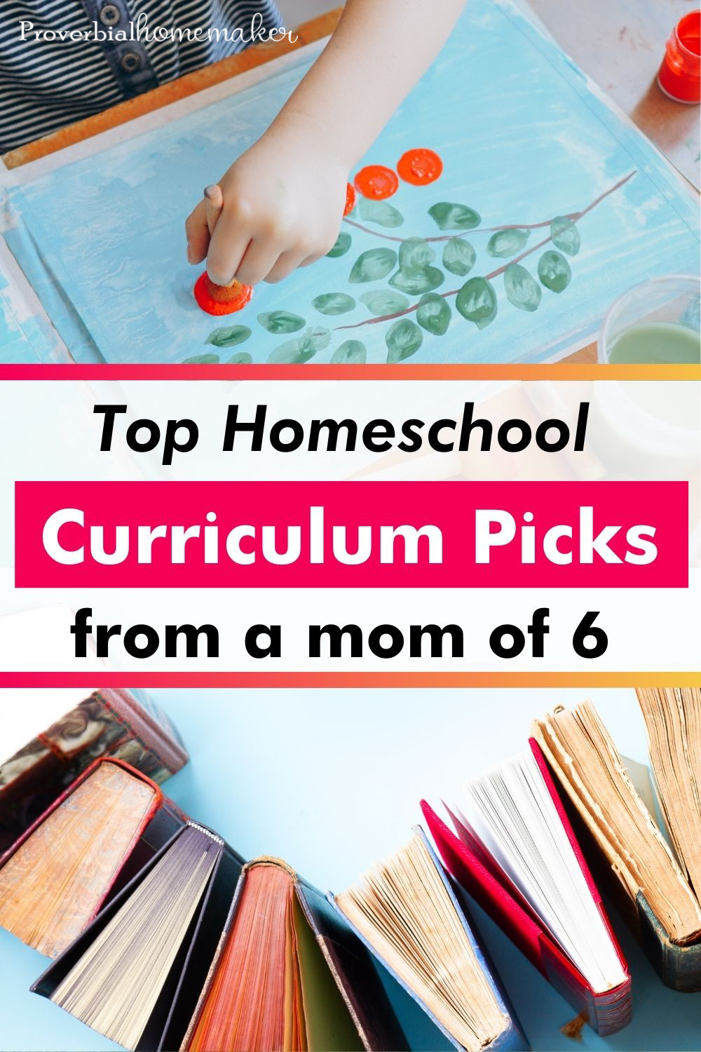 Top homeschool curriculum choices for 6 kids grades preschool through 8th grade!