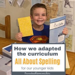All About Spelling level 1 for teaching spelling - homeschool spelling curriculum