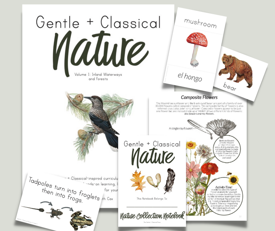 Gentle + Classical Nature Curriculum