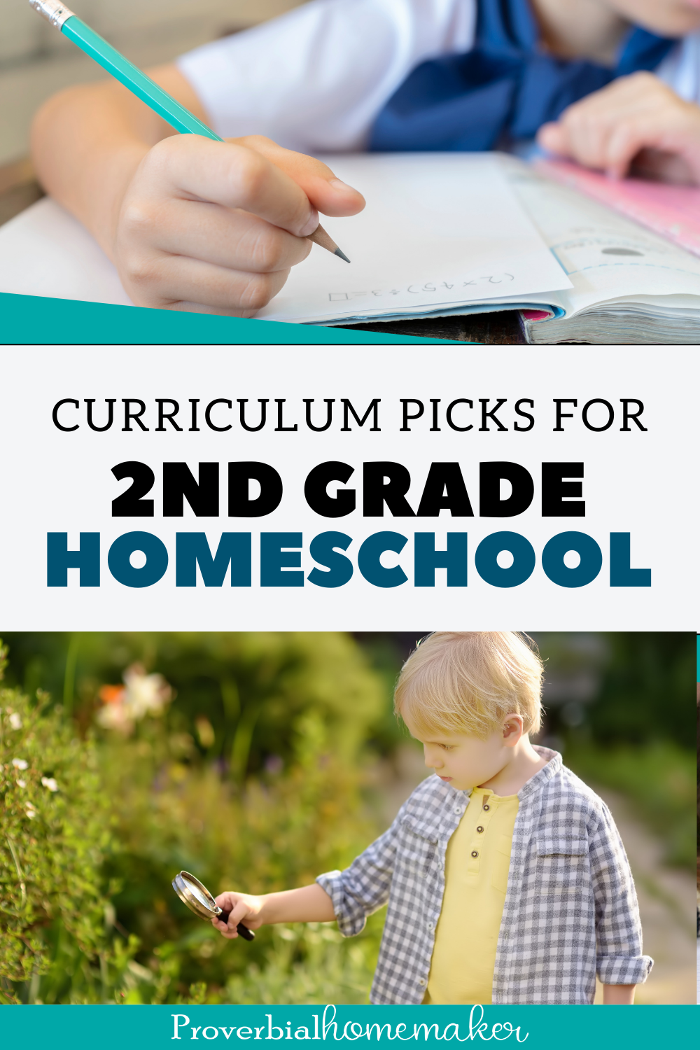 Our top 2nd grade homeschool curriculum picks!