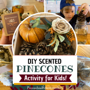 DIY scented pinecones using essential oils - fun activity for kids!