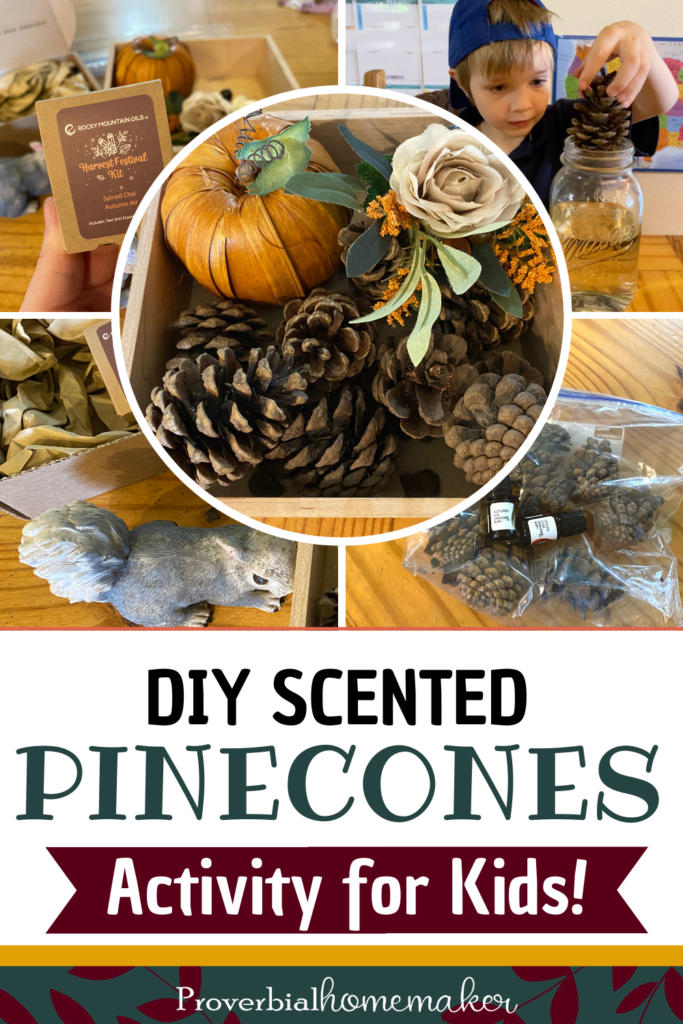 DIY scented pinecones using essential oils - fun activity for kids!