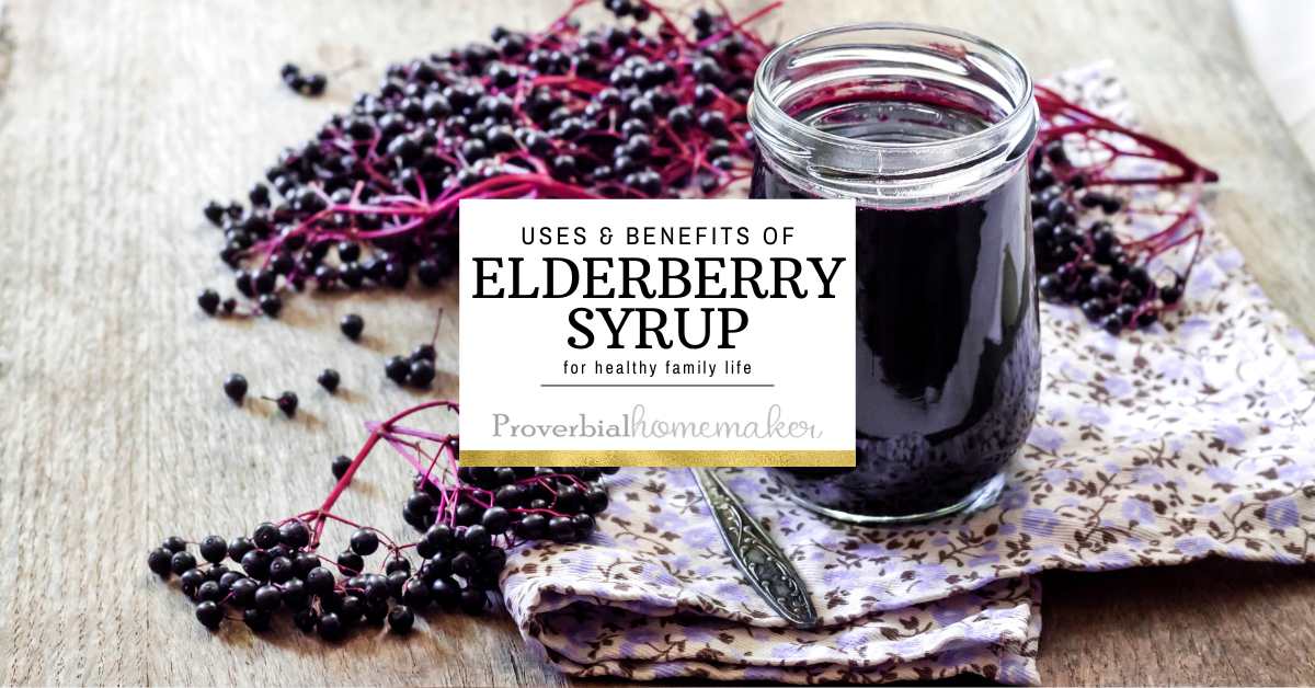 Uses and Benefits of Elderberry Syrup for Large Family Living