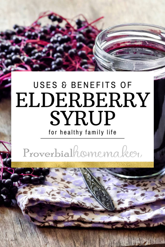 Uses and Benefits of Elderberry Syrup for Large Family Living