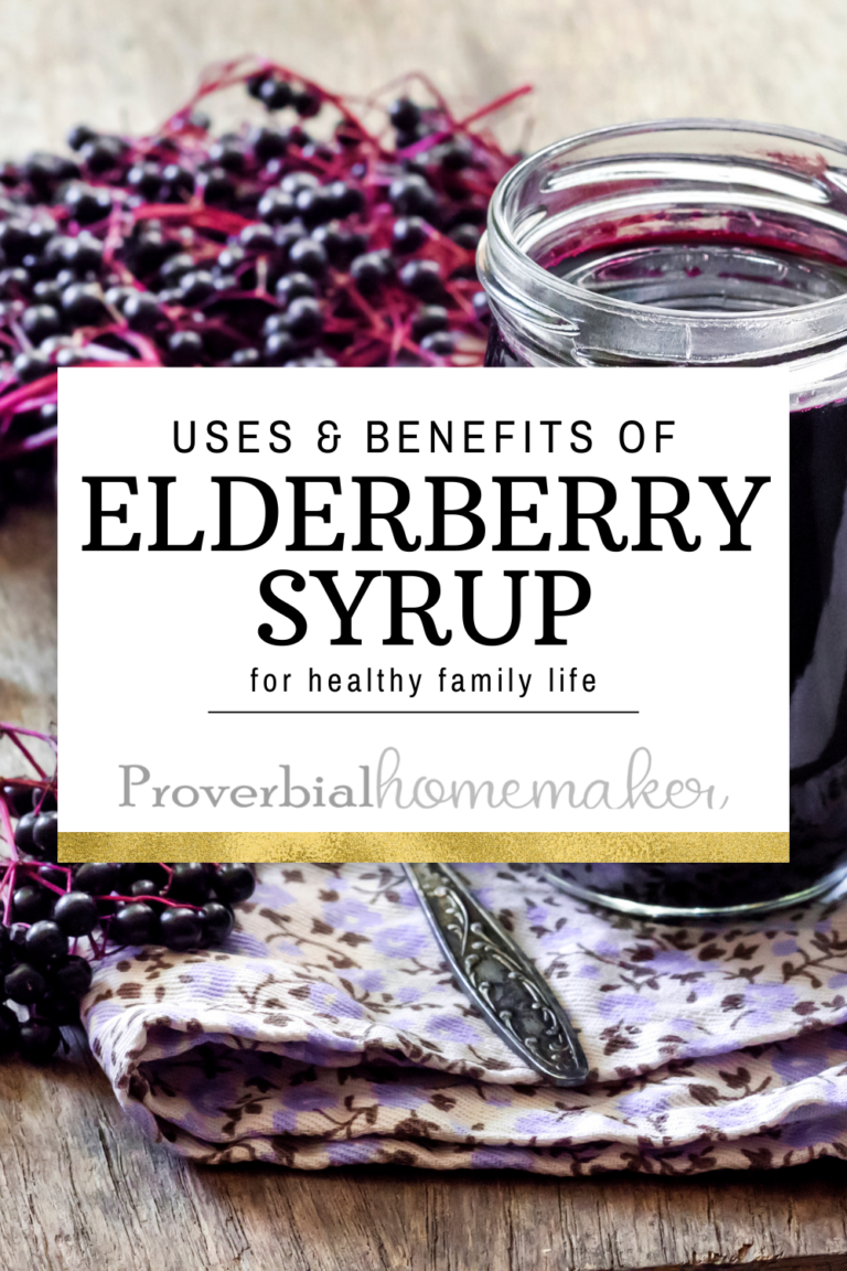 Uses and Benefits of Elderberry Syrup for Large Family Living