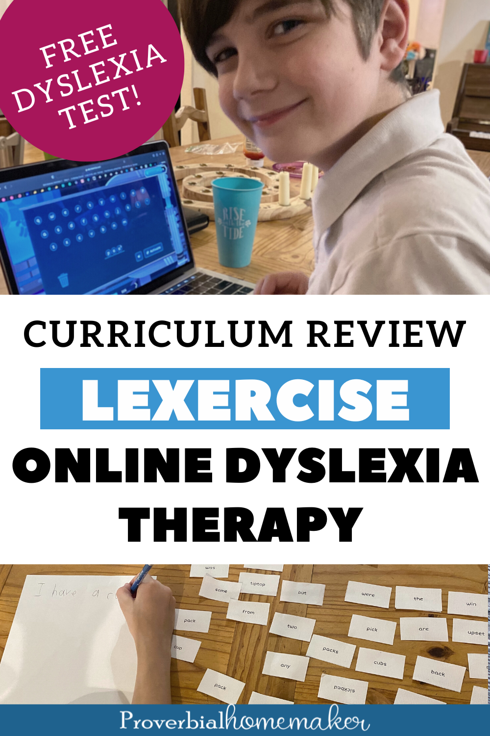 Review of Lexercise Online Dyslexia Curriculum! Online dyslexia therapy options for homeschool families.