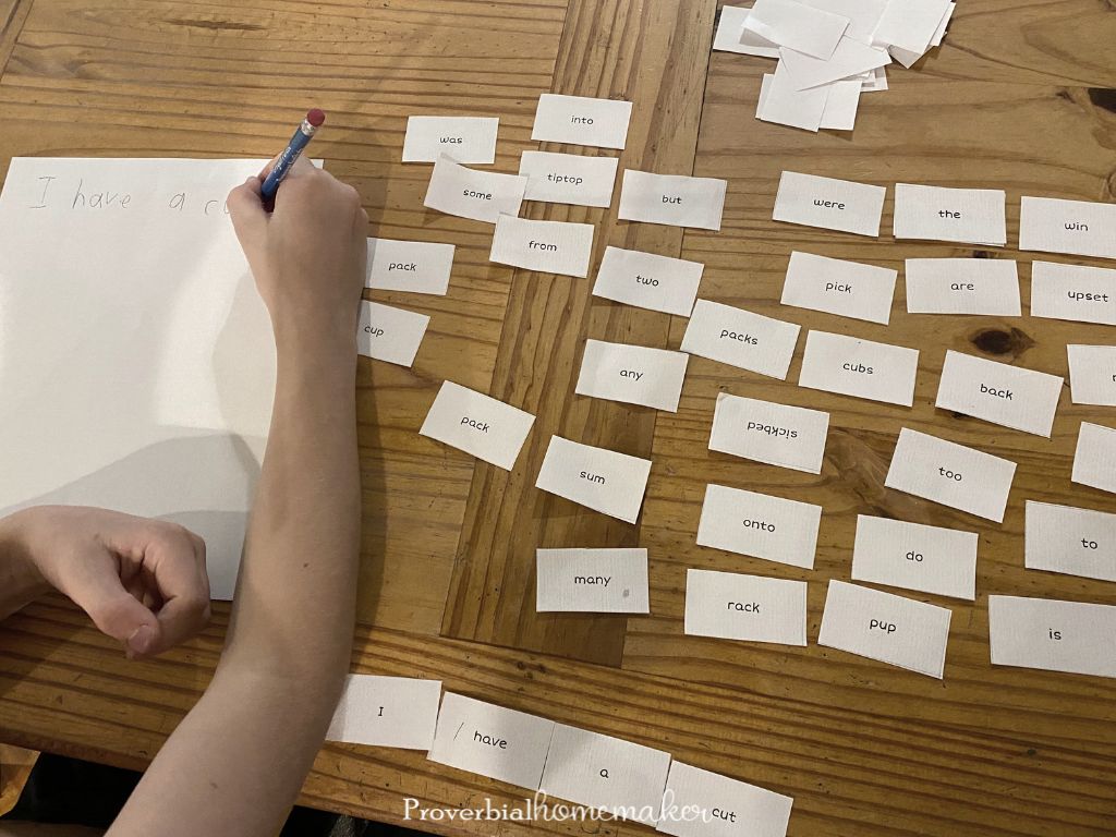 Building sentences with word cards - parent-led activity from Lexercise online dyslexia curriculum