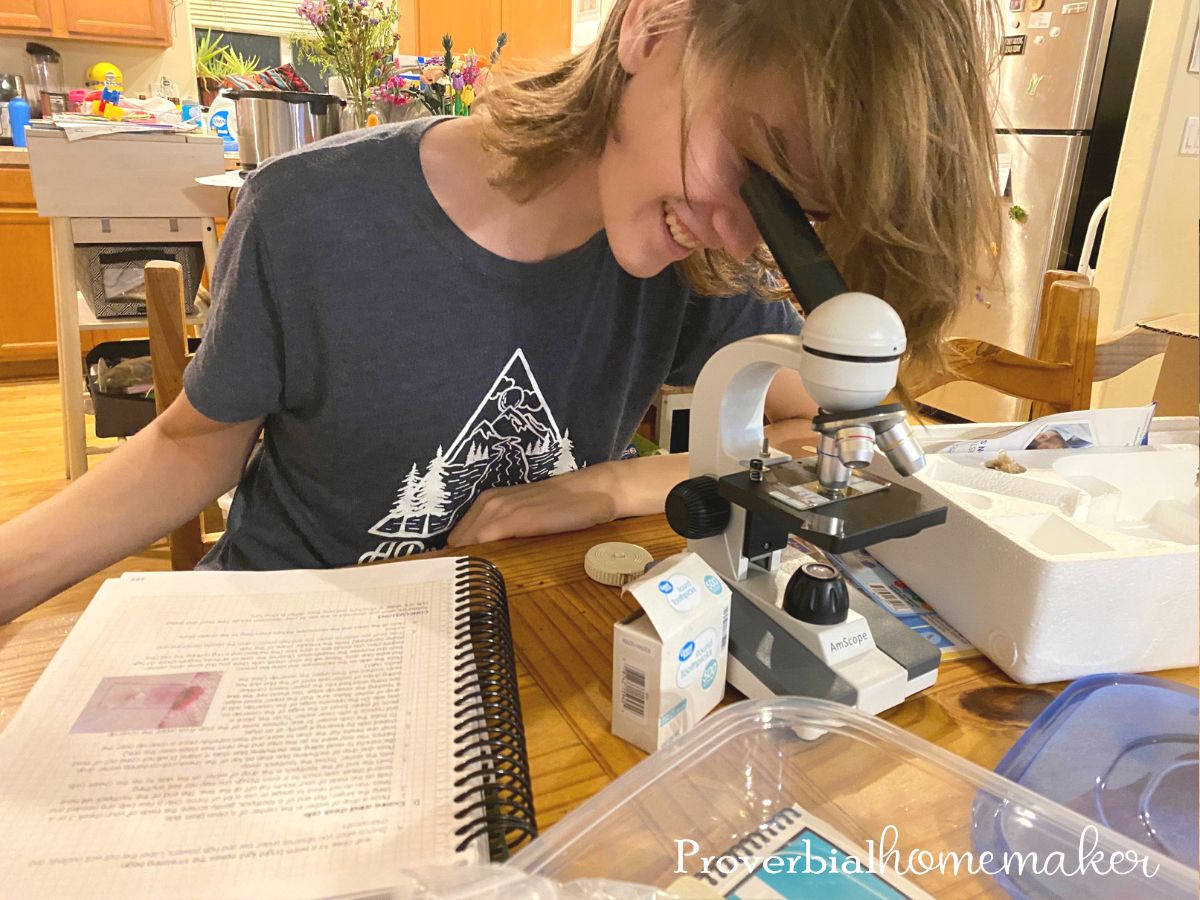 Microscope experiments from Self-Paced Apologia Biology - homeschool high school science curriculum from Apologia