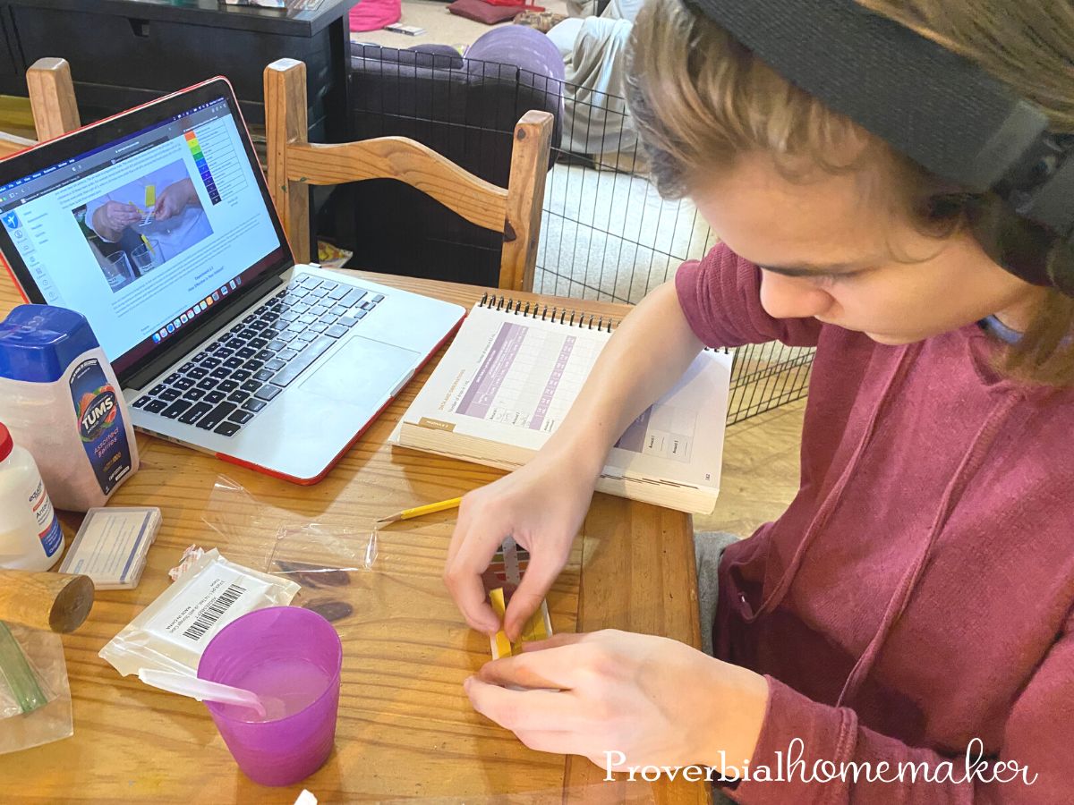 PH testing experiment from Self-Paced Apologia Biology - homeschool high school science curriculum from Apologia