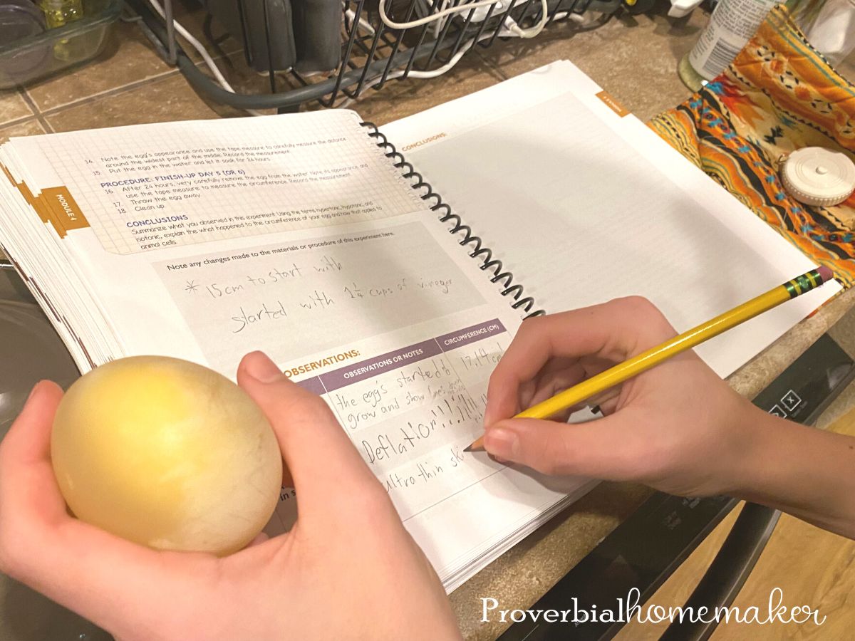 Egg shell dissolving experiment from Self-Paced Apologia Biology - homeschool high school science curriculum from Apologia