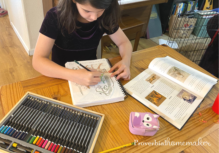 We teach homeschool science with a biblical worldview using resources like Apologia's Exploring Creation with Zoology: Land Animals.
