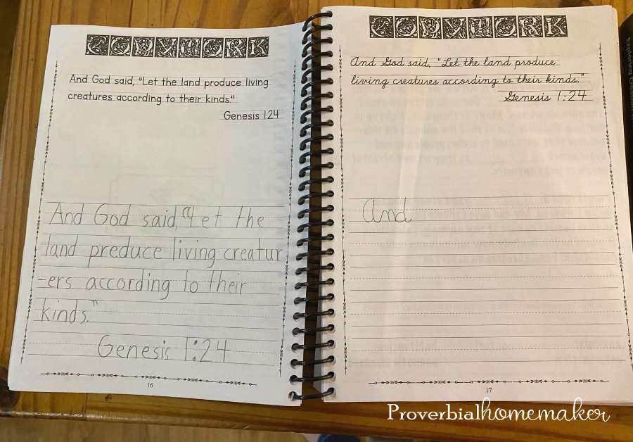 We teach homeschool science with a biblical worldview using resources like Apologia's Exploring Creation with Zoology: Land Animals.