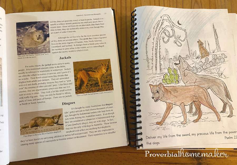 We teach homeschool science with a biblical worldview using resources like Apologia's Exploring Creation with Zoology: Land Animals.