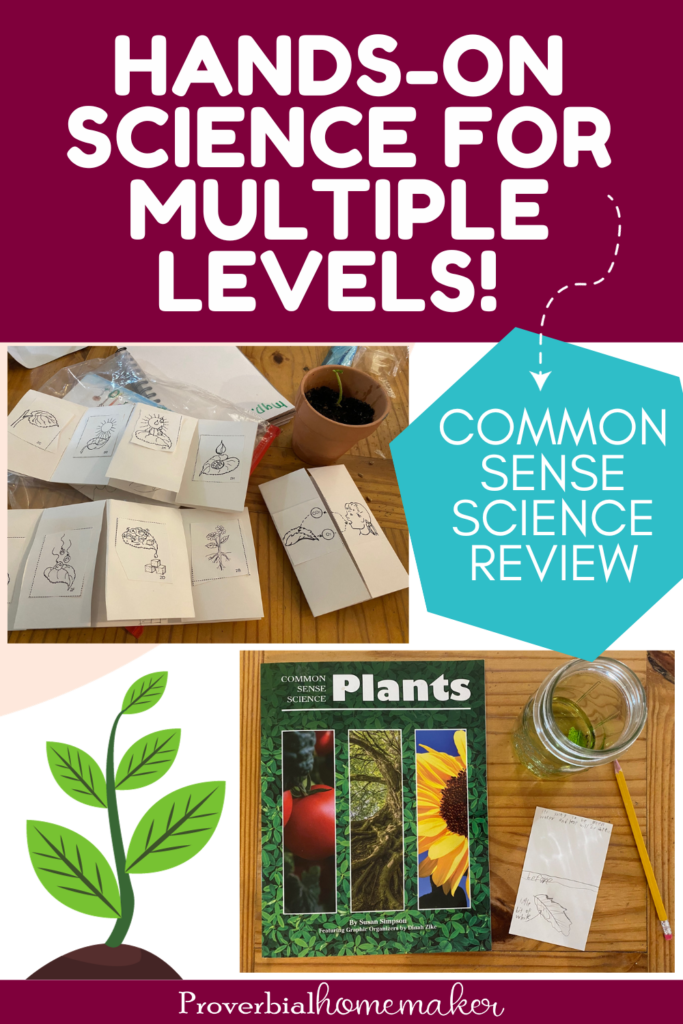 Your kids will love these easy hands-on science lessons for multiple ages!