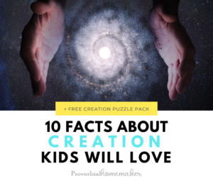 Facts about creation that your kids will love! Plus a free sample pack of puzzle-based Bible study on creation.